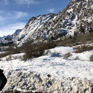 Meet your Posher, Martha